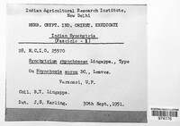 Image Associated With the Occurence
